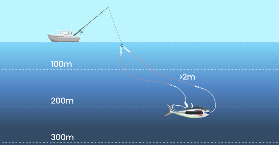 Deep Sea Fishing Guide: Land Trophy Fish & Conquer the Open