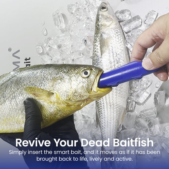 Kanama Bundle Smart Bait Pro+Mini+ProX