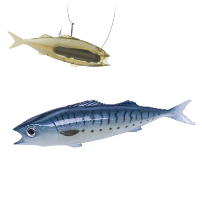 Styles_Mackerel Fish