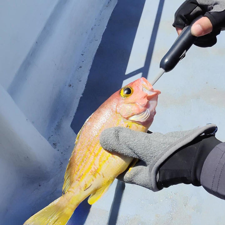 Kanama Smart Bait All-in-One