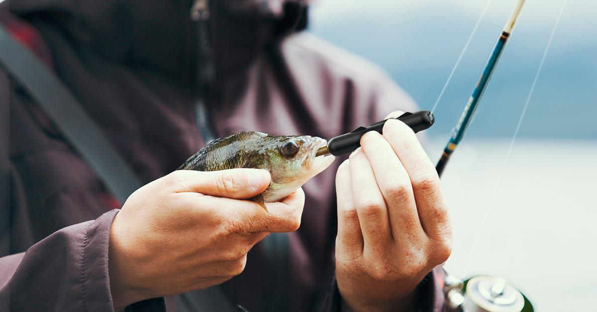 Kanama Smart Bait | Electronic Fishing Lures & Smart Fishing Gear