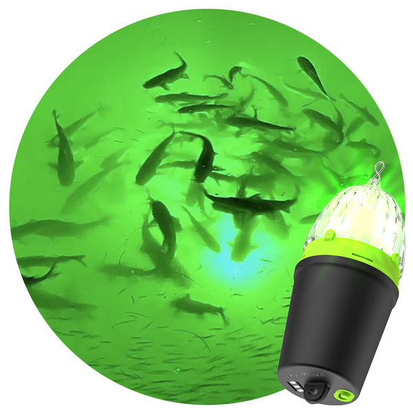Kanama Smart Fishing Light