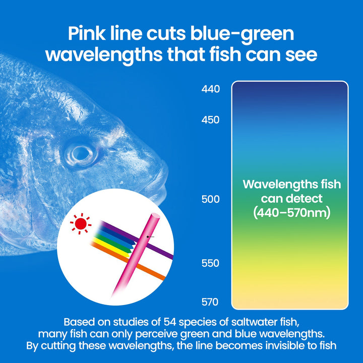 Kanama Anti-Lost Twin-Line Rig for Smart Bait  - Black Friday Special