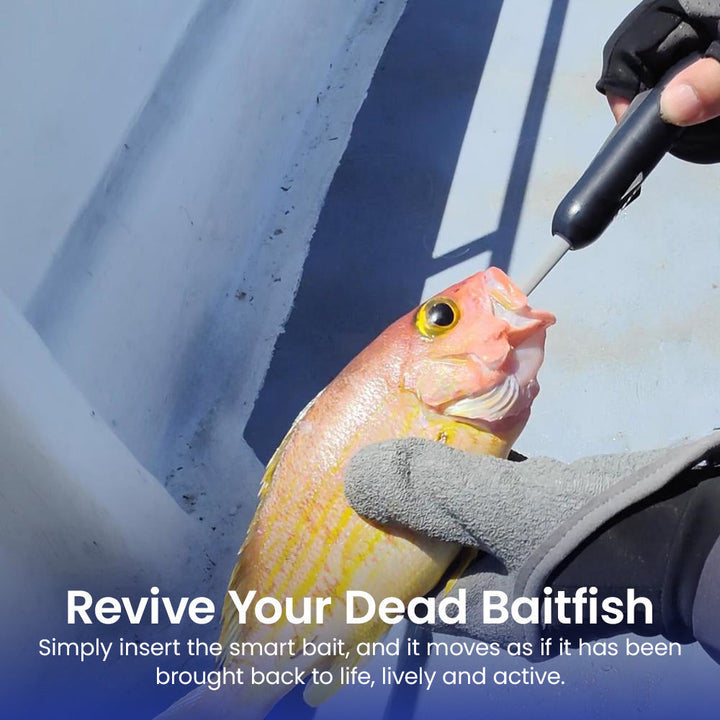 Kanama Smart Bait All-in-One - Black Friday Special