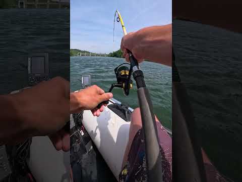 Kanama Smart Bait ProX