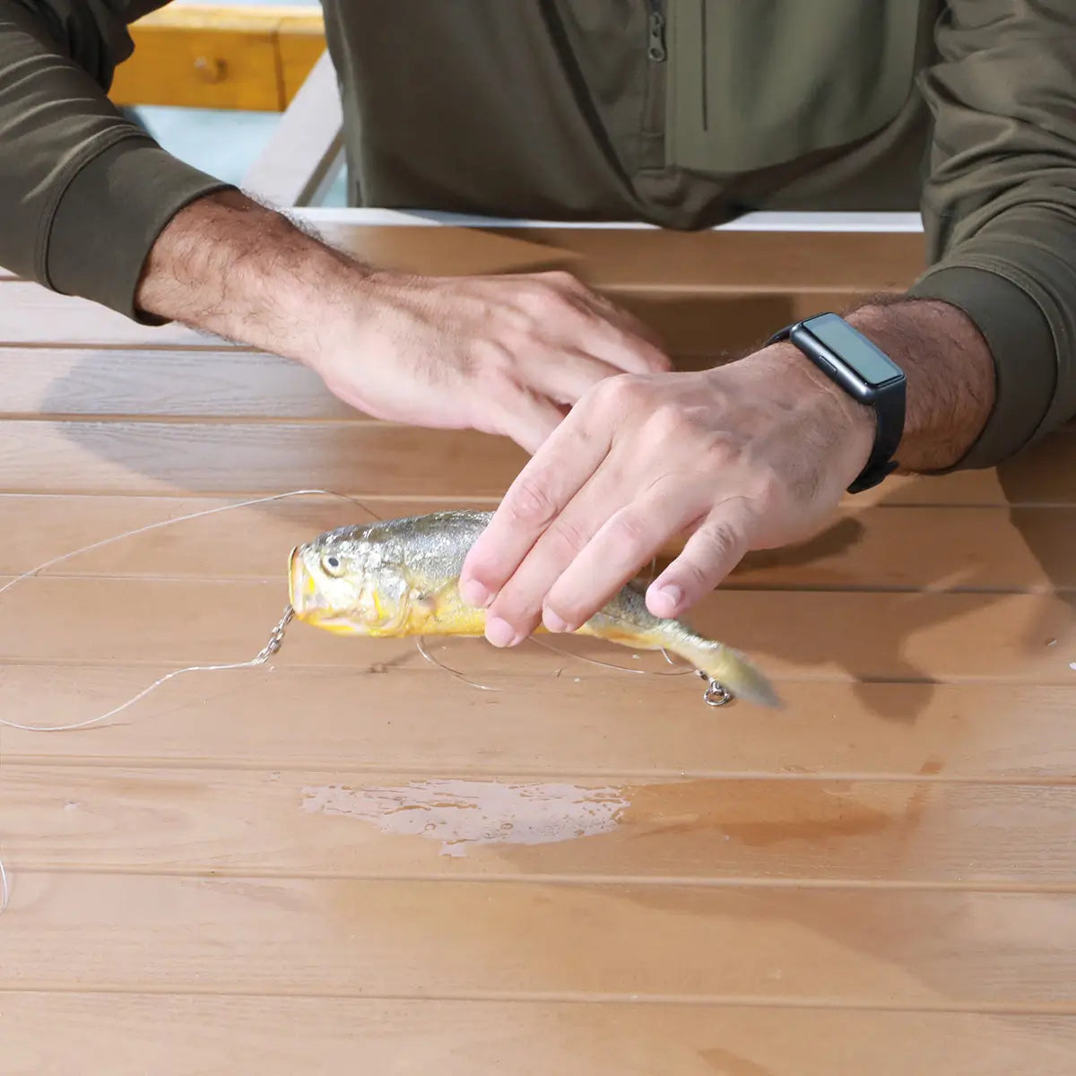 Person holding a small fish on a wooden surface